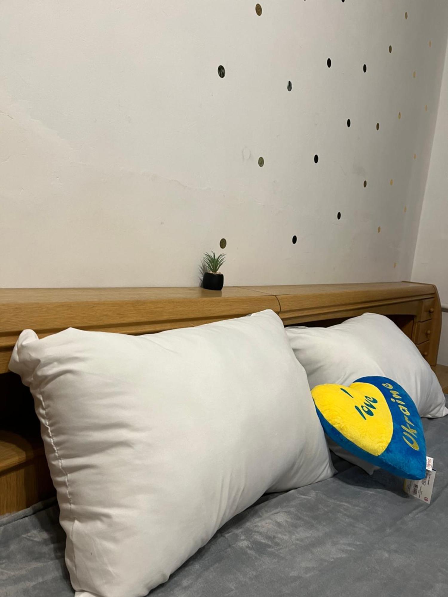 Ararat-Klovskaya Hostel-Apartments Kiev Extérieur photo